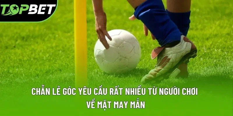 Chẵn lẻ góc yêu cầu rất nhiều từ người chơi về mặt may mắn Chẵn lẻ góc yêu cầu rất nhiều từ người chơi về mặt may mắn