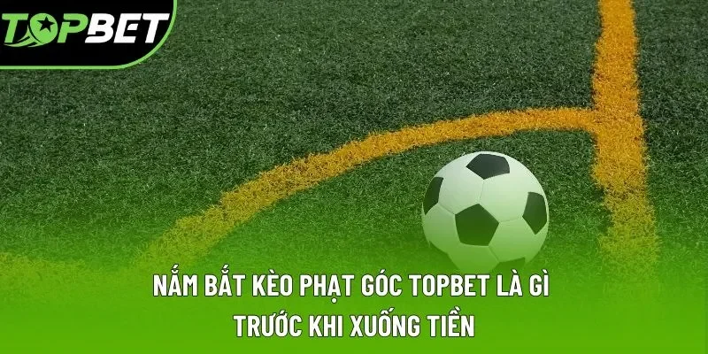 Nắm bắt kèo phạt góc Topbet là gì trước khi xuống tiền Nắm bắt kèo phạt góc Topbet là gì trước khi xuống tiền
