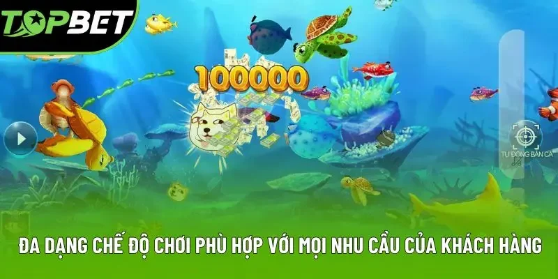 Đa dạng chế độ chơi phù hợp với mọi nhu cầu của khách hàng Đa dạng chế độ chơi phù hợp với mọi nhu cầu của khách hàng