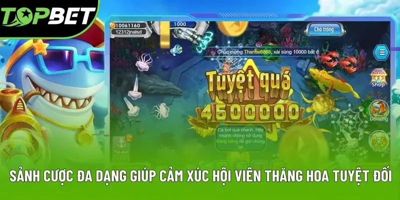 Sảnh cược đa dạng giúp cảm xúc hội viên thăng hoa tuyệt đối Sảnh cược đa dạng giúp cảm xúc hội viên thăng hoa tuyệt đối